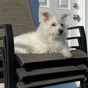 Meet your Posher, Deena